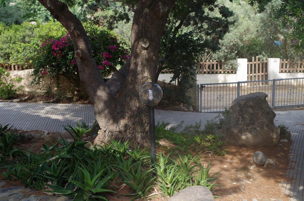 Villa Bonu توري ديل ستيل المظهر الخارجي الصورة