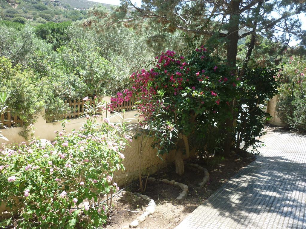 Villa Bonu توري ديل ستيل المظهر الخارجي الصورة